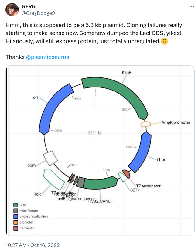 Hmm, this is supposed to be a 5.3 kb plasmid. Cloning failures really starting to make sense now. Somehow dumped the LacI CDS, yikes! Hilariously, will still express protein, just totally unregulated.🙃 Thanks @plasmidsaurus!