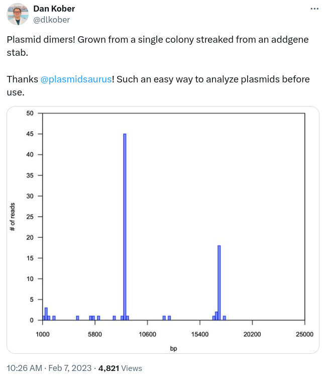 Plasmid dimers! Grown from a single colony streaked from an addgene stab. Thanks @plasmidsaurus! Such an easy way to analyze plasmids before use.